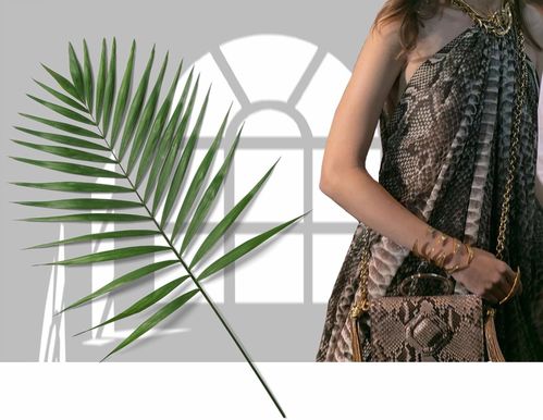 女星同款竟顯胖，胖太太服飾為何持續(xù)走紅？